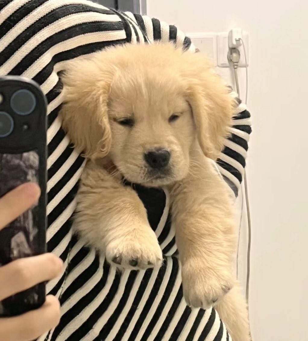 dogonboo's tweet photo. คนที่ขี้งอนขนาดนี้เป็นของคุณนะ https://t.co/Ny3VelH6dh