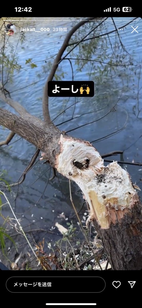 D_Bonito262's tweet image. 地元高知のバザー
キャストしやすいように勝手に木を斧で伐る…
しかも2本、そして川に放棄‼️

コメントしてもレスポンスなく、反省の色も無い模様💦
これだからバス釣りのイメージが悪くなる‼️

彼のInstagramストーリーより
X（Twitter）もやってるみたい。