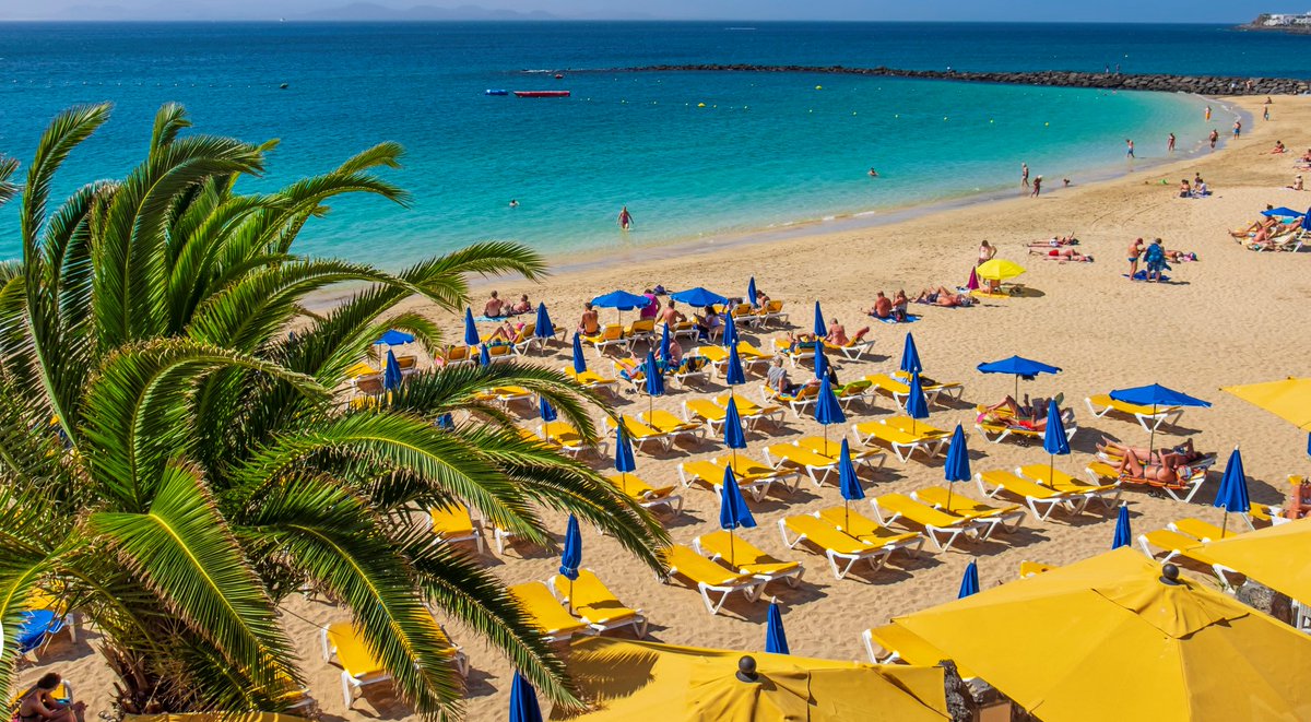 Spain_in_CH's tweet photo. Auf die #KanarischenInseln ☀️🌴 fliegen: Durchschnittstemperatur beträgt um die 24 Grad Celsius und auch im Winter kann man problemlos im T-Shirt losziehen. Wer hat Lust dazu? 😉
https://t.co/PEgUFdLfy5 👈
#VisitSpain #SpainCoast #WinterInSpain @CanaryIslandsEN https://t.co/18iTnDCtQJ