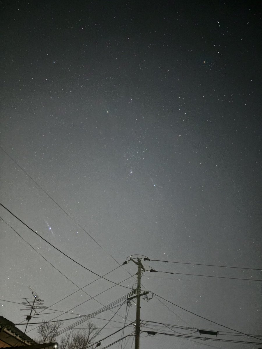 TaajimaHalu's tweet photo. 深夜のオリオン座 https://t.co/7acOmax7mC