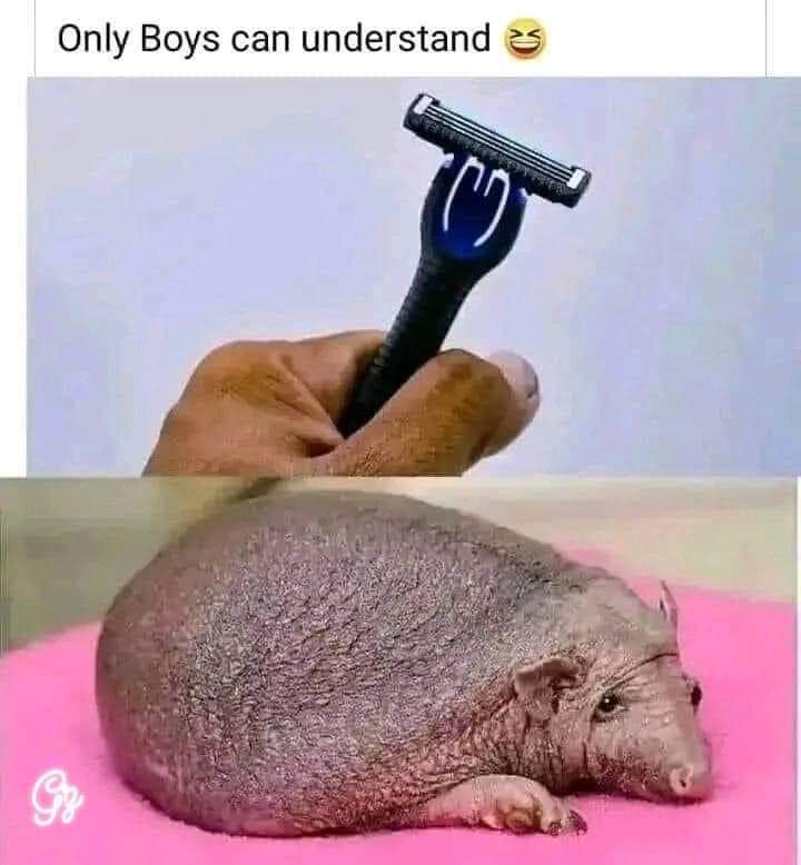 Only Boys Know 🤪🤪🤪