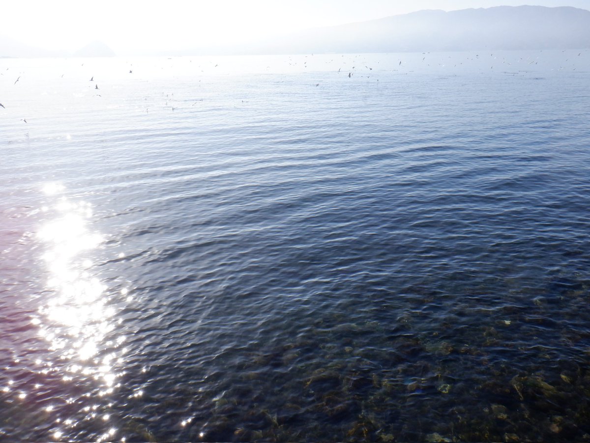 float_fuji_sup's tweet photo. あたたかい12月🇨🇽可動域バランスリハビリテーション🐚

#海 #自然 #波 #風 #12月 #可動域訓練中 #リハビリテーション #バランスボード #飛行機雲 #ocean #nature #sports #nsp #nspwingfoil #nspfireball #rehabilitation #contrail #sunset #float_fuji_sup #balance #December2023 https://t.co/YBZ0Q3ec9I