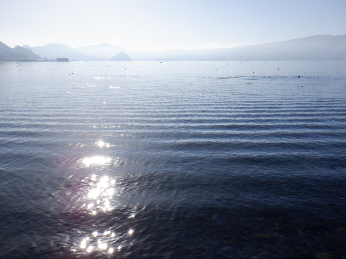 float_fuji_sup's tweet photo. あたたかい12月🇨🇽可動域バランスリハビリテーション🐚

#海 #自然 #波 #風 #12月 #可動域訓練中 #リハビリテーション #バランスボード #飛行機雲 #ocean #nature #sports #nsp #nspwingfoil #nspfireball #rehabilitation #contrail #sunset #float_fuji_sup #balance #December2023 https://t.co/YBZ0Q3ec9I