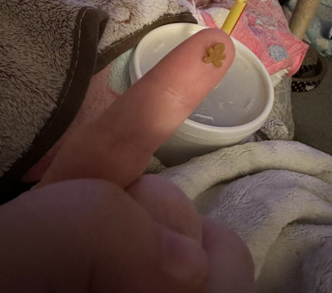 Look at this tiny little gingerbread man! https://t.co/HnWO3E0eoc