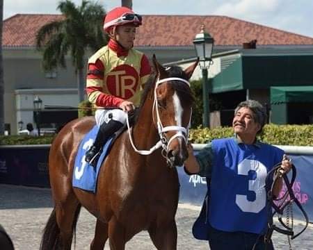 HORSERACING1002's tweet photo. BODEXPRESS 🇺🇸 2016
(BODEMEISTER - PIED A TERRE BY CITY ZIP)
#Bodexpress https://t.co/dTysmbcg24