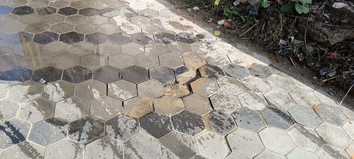 L_SahooLS's tweet photo. Kindly look in to this matter of new road of Talamali Sahi ..Paver block ଗତ କିଛି ଦିନ‌ ତଳେ ବିଛା ଯାଇଥିଲା। ଅତି ନିମ୍ନମାନର କାମ ପାଇଁ ରୋଡ଼ ଦବିବା ଆରମ୍ଭ ହେଲାଣି। ବିଭାଗୀୟ କର୍ତ୍ତୃପକ୍ଷ ଦୟାକରି ଧ୍ୟାନ ଦିଅନ୍ତୁ ଓ ଯଥୋଚିତ ତ୍ଵରିତ ପଦକ୍ଷେପ ନେବାକୁ ଅନୁରୋଧ ।🙏
@Puri_Official @Puriulbeo @MoSarkar5T https://t.co/FMsgdoIwv9