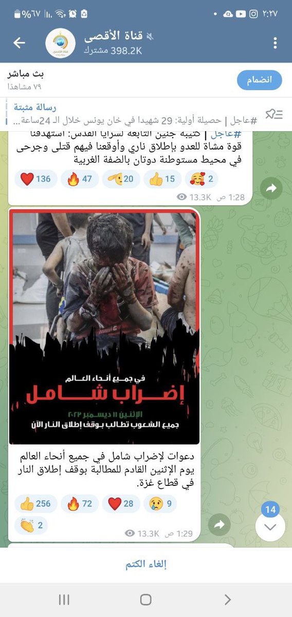 Esralshikh's tweet photo. صفحات إخبارية ونشطاء كثر عم يتبنوا نشر فكرة الإضراب  غير المنظمات الأجنبية والنشطاء الأجانب ✌️✌️..
معا من أجل إضراب شامل يوم الإثنين لوقف العدوان على غزة ..
11/12/2023
.
#StrikeForGaza 
#اضراب_شامل_يوم_الاثنين 
#إضراب_شامل https://t.co/roznGCMK54