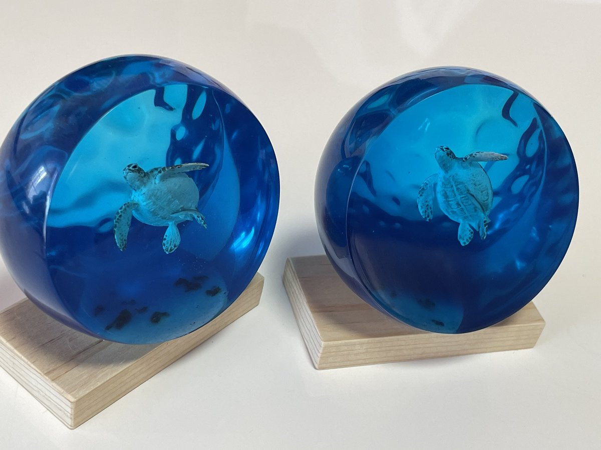 jad_ko's tweet photo. アオウミガメを見上げる① https://t.co/koBkEbm1EH

アオウミガメを見上げる② https://t.co/NSuZeyjR4X

２点をヤフオクに出品しました。 https://t.co/PXD4a8bGFi