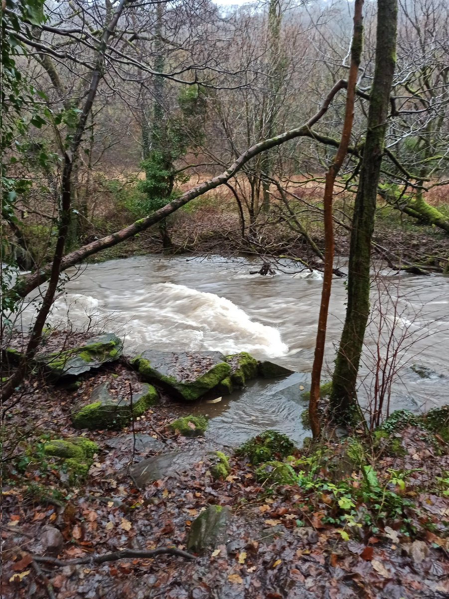 KempasUK's tweet image. River&apos;s awake and so am I! Back today, in two hours 💚 #dayz #screenbreak #TwitchStreamers