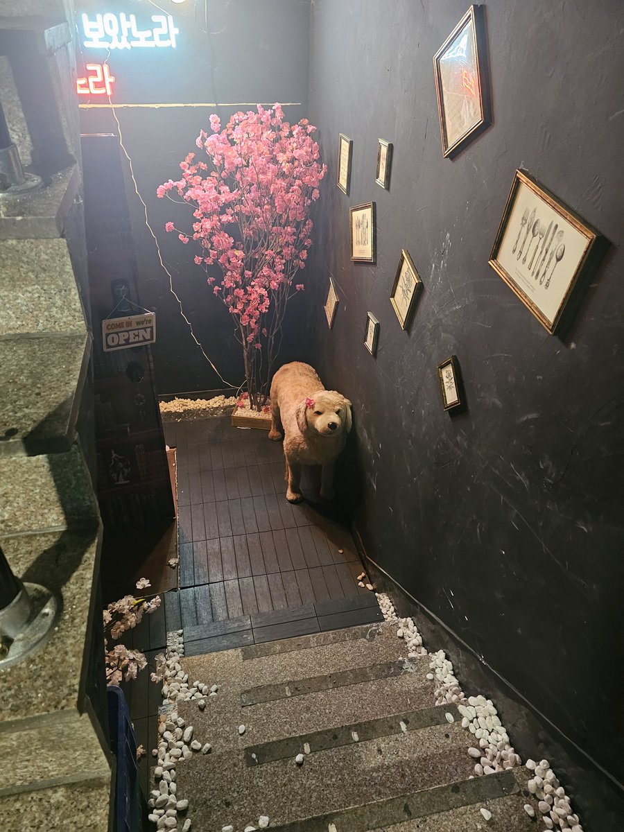 갑자기 시간이 되어서 방문하게 됨
기대 기대