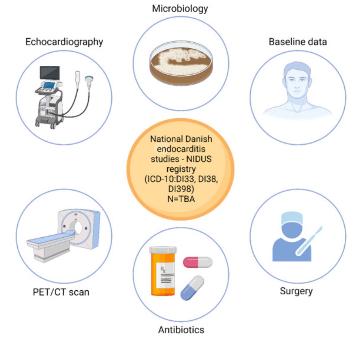 RigsHeart 🫀🚨 (@rigsheart) on Twitter photo We are proud to present the design and objectives of the #NIDUS registry – the first unselected contemporary nationwide infective #endocarditis (IE) registry, published in <a href="/AmericanHeartJ/">AmericanHeartJ</a>.
NIDUS aim is to uncover risk factors impacting the course, treatment, and outcomes of IE🦠 We are proud to present the design and objectives of the #NIDUS registry – the first unselected contemporary nationwide infective #endocarditis (IE) registry, published in <a href="/AmericanHeartJ/">AmericanHeartJ</a>.
NIDUS aim is to uncover risk factors impacting the course, treatment, and outcomes of IE🦠