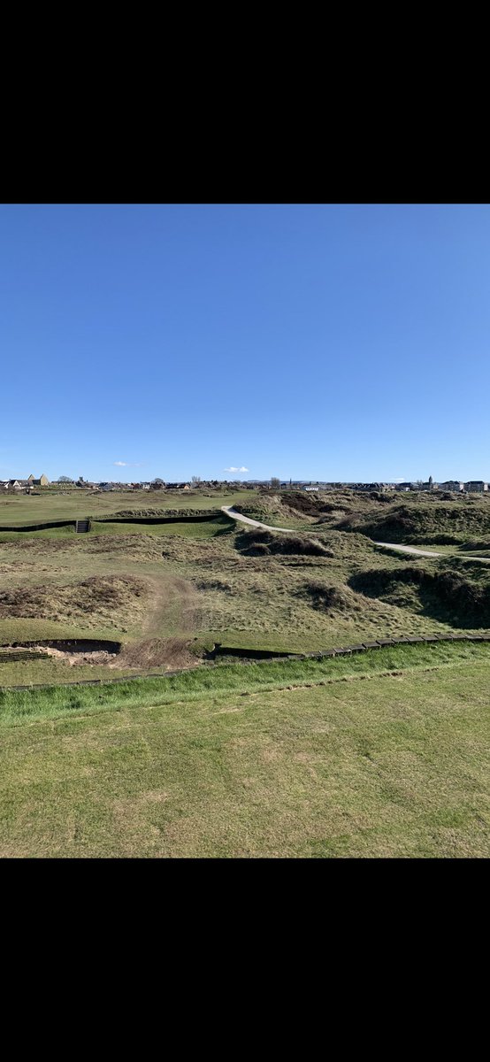 scott aitchison tweet media