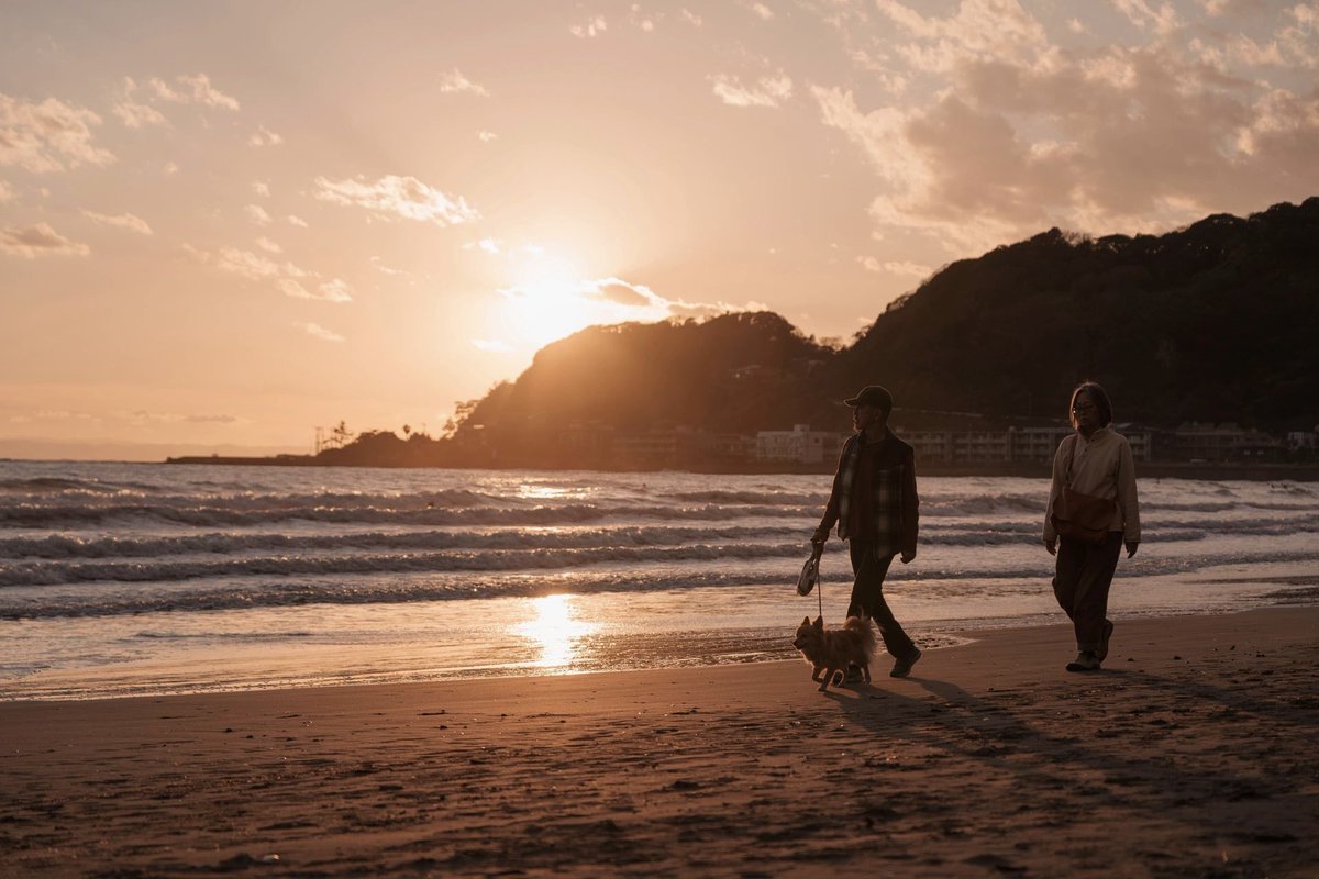 NisaWin's tweet photo. 夕暮れ時の海辺で美しい夕陽のグラデーションが青い空を彩っている。幻想的な光の道が海面に映り、この光景を眺める人々はこの瞬間に心を奪われいることだろう。
#海 #鎌倉 
#風景 #写真 #写真好きな人と繋がりたい #風景写真 #日本の風景 
#撮影 #撮影好きな人と繋がりたい https://t.co/5tq6aJVZjt