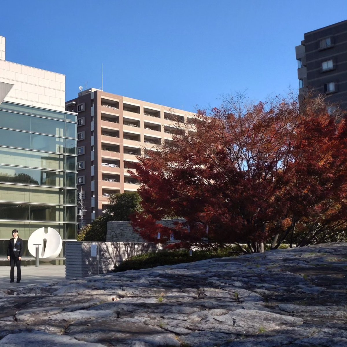 KojiTanabe3's tweet image. #東京都現代美術館
#MOT
#wishtree
#yokoono
#12月9日
#nowar 
#peace 
#nomorewar 
#merrymerrychristmasandahappynewyear 
#johnlennon