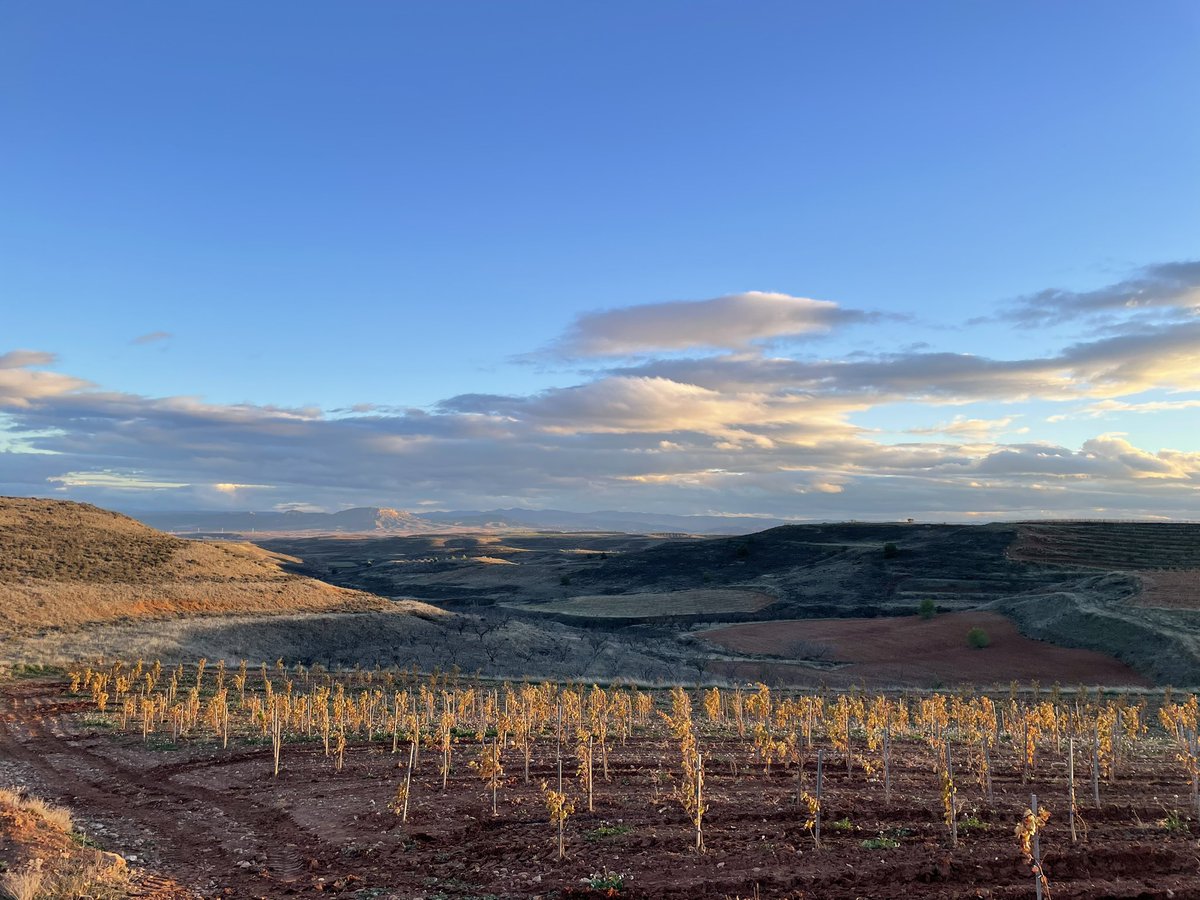Thanks to @docalatayud for their help in putting me in touch with producers of the region. I visited all the bodegas within the DO & taste 100 wines. Wild, rugged, beautiful. The land of powerful Garnacha that thrives in this harsh and unique landscape. #calatayud #vino