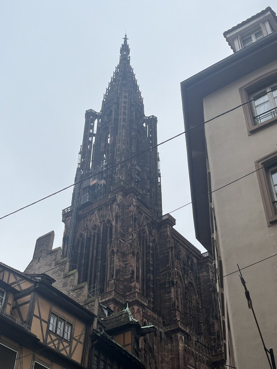 Team_Crecca's tweet image. « Jurez de ne déposer les armes que le jour où nos couleurs, nos belles couleurs, flotteront sur la cathédrale de Strasbourg. » #Koufra
#Strasbourg 
#France 
#2èmeDB