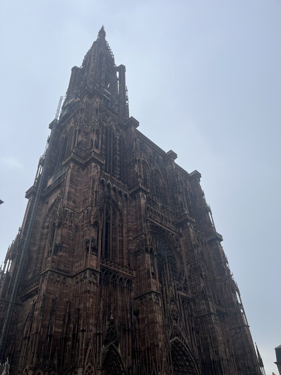 Team_Crecca's tweet image. « Jurez de ne déposer les armes que le jour où nos couleurs, nos belles couleurs, flotteront sur la cathédrale de Strasbourg. » #Koufra
#Strasbourg 
#France 
#2èmeDB