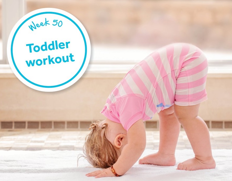 DerbyCC's tweet image. Week 50 of #52Things to do before you're 5 - Toddler workout🏋

Help your child to choose some music and come up with some movement sequences. Practice your toddler workout! Who remembers when to jump and when to wave their arms?🤸

Find out more👉orlo.uk/469zx
