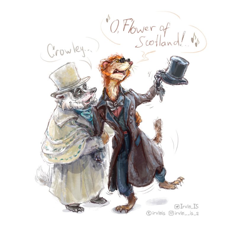 Laudanum, whoo-wee!! As we know, drinking libations in the crypt was not Crowley's first experience.
Badger!Aziraphale and Mink!Crowley.#goodomens #goodomens2 #Crowley #Aziraphale #davidtennant #michaelsheen #azicrow #animalAU #Edinburgh