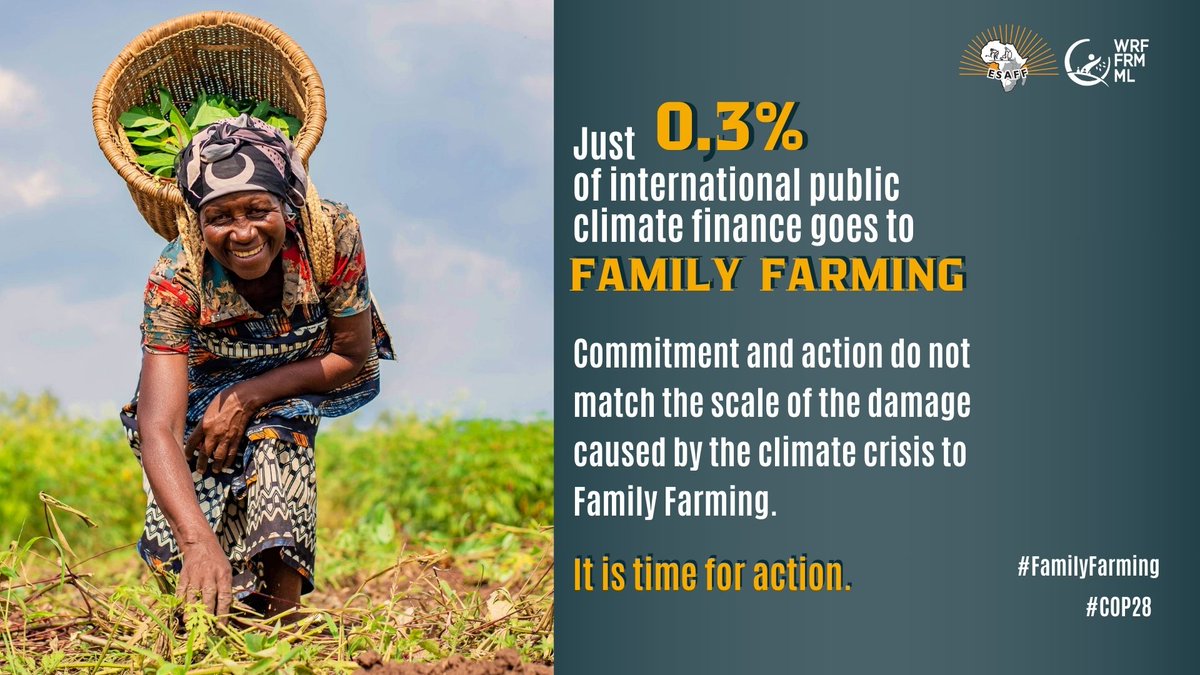 ESAFF Head Office tweet media