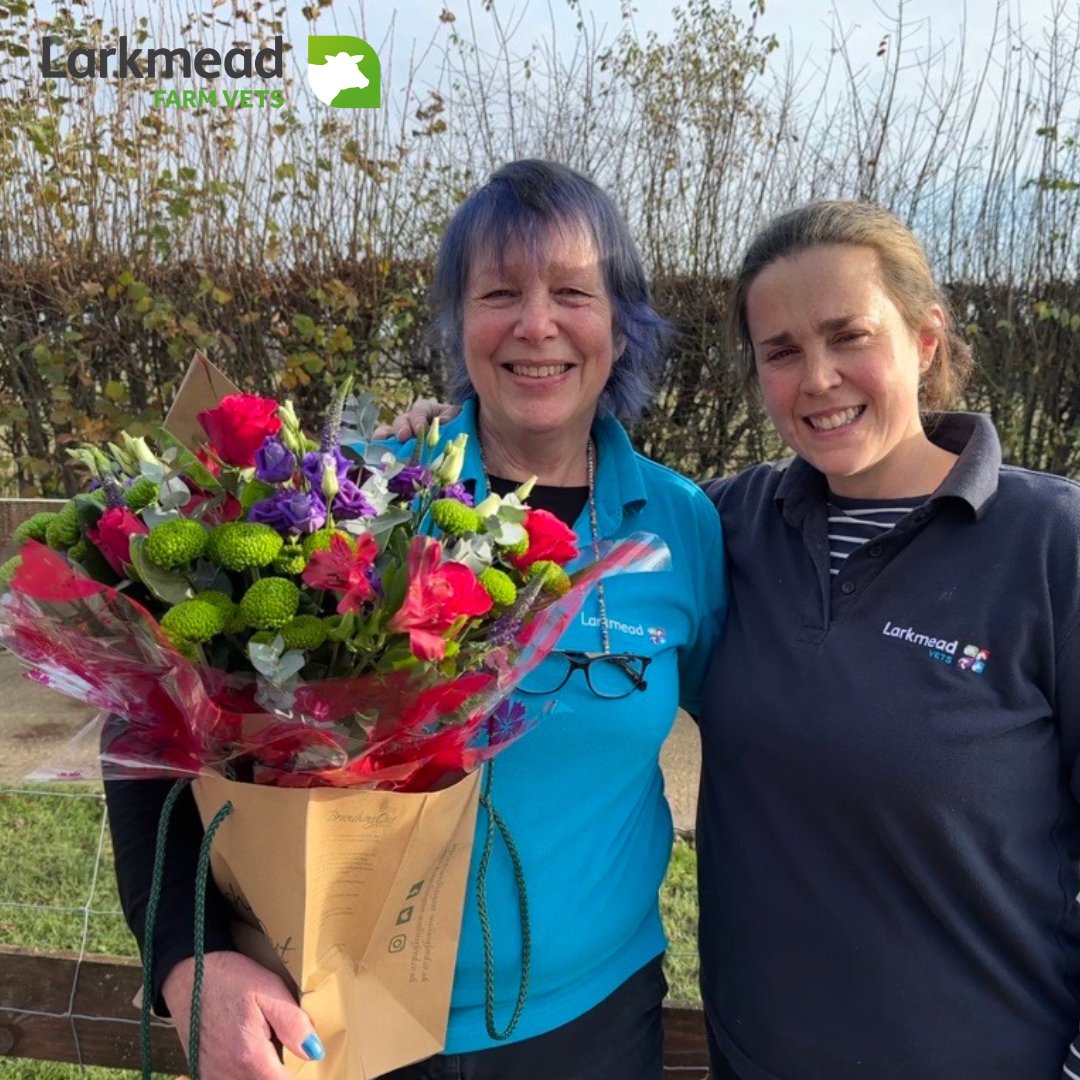 Recently we celebrated 30 years of service with Martha who works in the office - what a milestone! Thanks for your years of dedication Martha!