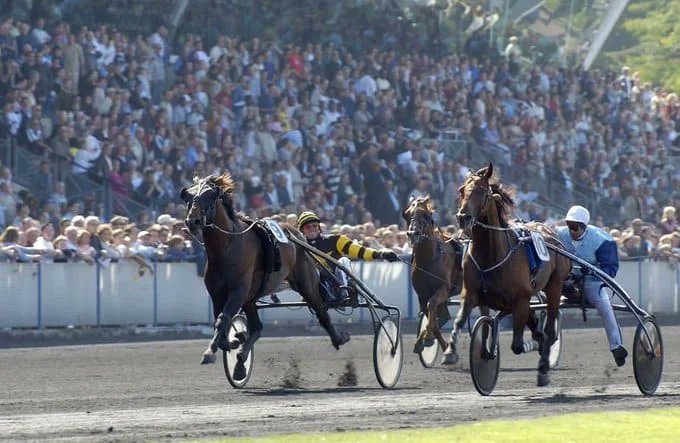 Turfjeusimple's tweet photo. https://t.co/qfMGb1tj9C
Dimanche 10 décembre 2023 - #Quinté à Vincennes /Autres courses
Toutes les infos #pmu gratuites de notre équipe pour cette journée : bases, pronostics, jeux simples,... https://t.co/1JPR8UbHrZ