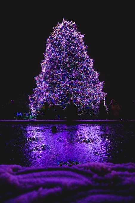 NicoEstevelle's tweet image. ¡Buenos días a todos! Nos honra estar acompañándolos durantes vuestras frescas mañanas.
#TreeChristmas: Mis modestos deseos para estas fiesas navidelas, son: Qué vuestro Altísimo multiplique su Misericordia y grandes alabanzas hacia cada ser interno que poseemos en nosotros.