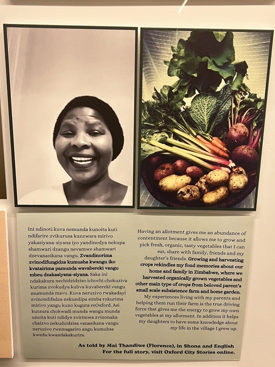 Dr JC Niala (@jcniala) on Twitter photo I’m not one for getting teary but I was really moved by <a href="/MuseumofOxford/">Museum of Oxford</a>’s beautifully executed dual language allotment display. Not only was it an excellent example of best practice it also echoed exactly what I found researching allotments - they are inclusive spaces and yet I’m not one for getting teary but I was really moved by <a href="/MuseumofOxford/">Museum of Oxford</a>’s beautifully executed dual language allotment display. Not only was it an excellent example of best practice it also echoed exactly what I found researching allotments - they are inclusive spaces and yet