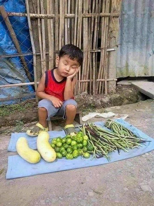 Kinh tế năm nay thật là khó khăng .
bán rau mà chả có người mua.
 nhờ cả nhà mình trên X ủng hộ