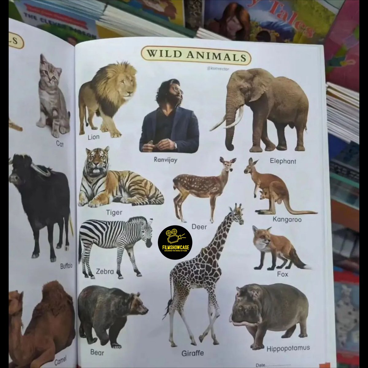 FilmShowCase_'s tweet photo. WILD ANIMALS 🔥🔥🔥🔥.

#Animal #RanbirKapoor #AnimalTheMovie https://t.co/6pnHCyJFET
