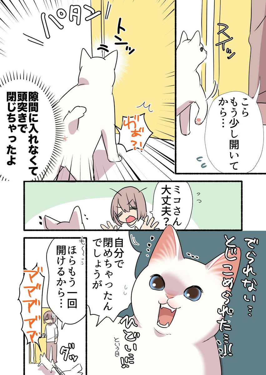 黒猫になった白猫を洗う話
(2/3)
 #漫画が読めるハッシュタグ
 #愛されたがりの白猫ミコさん 