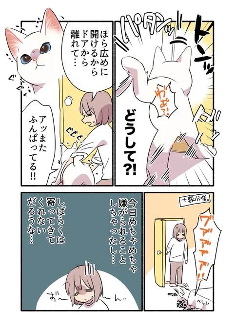 黒猫になった白猫を洗う話(3/3) #漫画が読めるハッシュタグ #愛されたがりの白猫ミコさん 