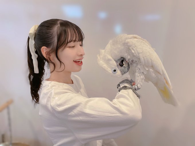 コスプレイヤー橋本麗愛のTwitter画像49