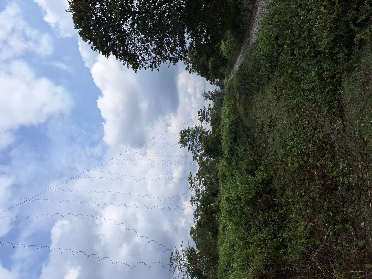 BapanBHARAT's tweet photo. Village awareness programme at Bishnupur , last point of Indo Bhutan border . Including all economic problem Elephent-HUMAN encounter is biggest problem. Electrical fencing is done by governemnt but elephent are too much clever to avoid obstruction.
@narendramodi 
@himantabiswa https://t.co/U7Ci1CpQc6