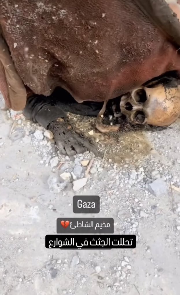 الجثث تحللت في الشوارع يا كفرة