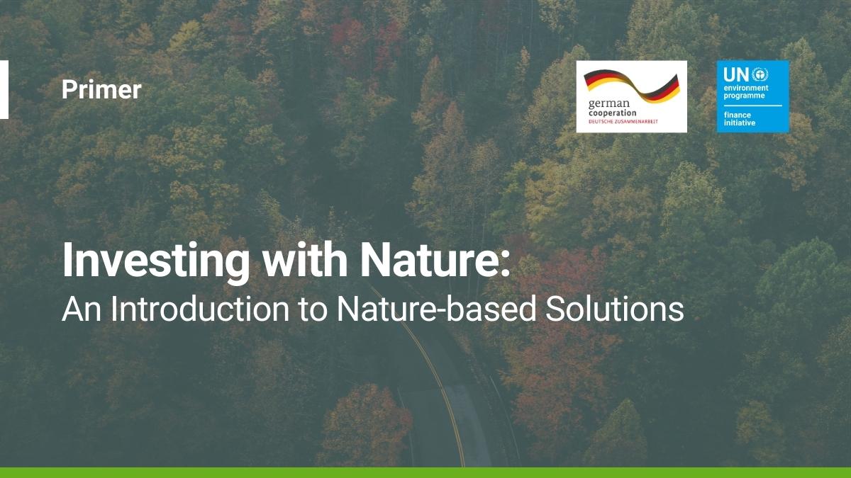37% of solutions to the Paris Agreement can come from nature. Today, as #COP28 focuses on nature, discover how financial institutions can scale #NbS investments to mitigate #climatechange. Download our primer from our “Investing with Nature” series: bit.ly/3SUV7dJ
