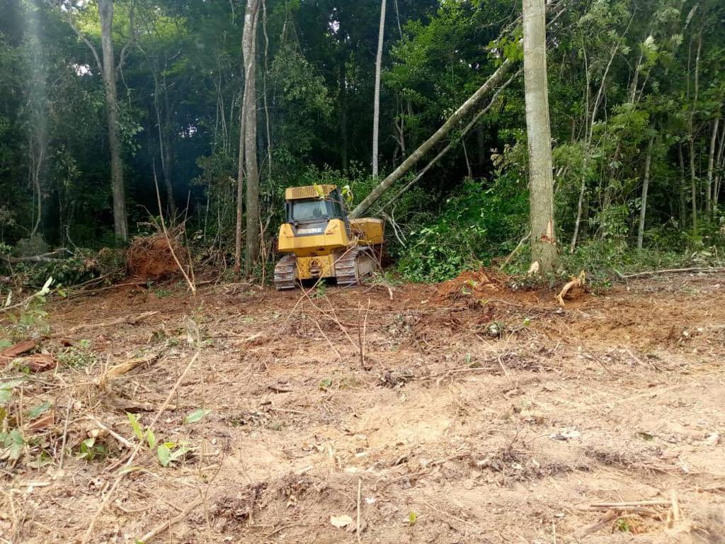 #AsíLoDijo || GJ <a href="/dhernandezlarez/">GJ. Domingo Hernández Lárez</a> La orden es seguridad y desarrollo de nuestra Guayana Esequiba. Para nosotros la patria es primero ! 
Pistas y helipuertos para el desarrollo integral ! 
#PatriaQueridaYEterna