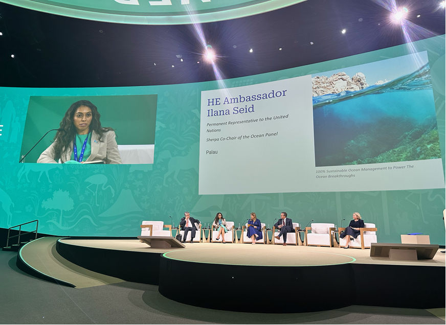 Ocean Panel tweet media