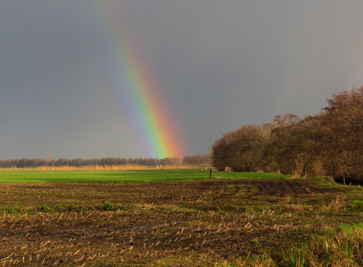 ElisaGoudriaan's tweet photo. Deel 679: afgelopen woensdag genoten van weergaloze luchten in natuurgebied #Willeskop bij Oudewater/Polsbroekerdam. Verder ook heeeel erg nat geworden en 2 dagen spierpijn gehad van het lopen in de modder! Maar het was prachtig :-) https://t.co/vZGDkCvkKx