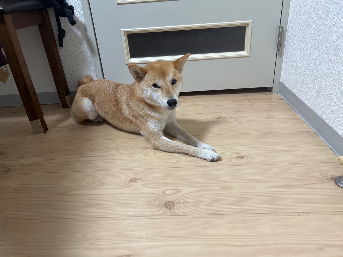 明日で四歳

^_^