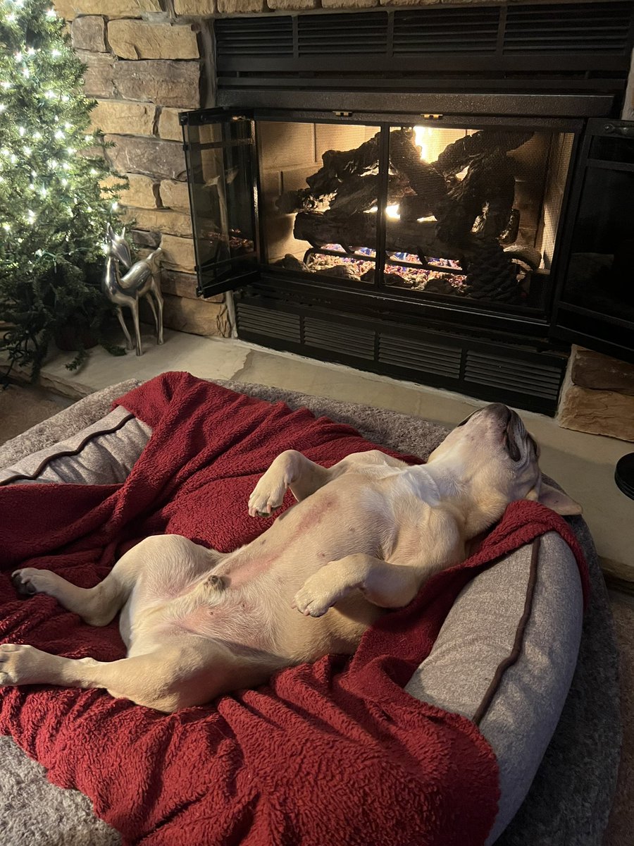 jackrussvt13's tweet photo. @Phil_Sledge Happy Holidays! https://t.co/4cltcc6wRE