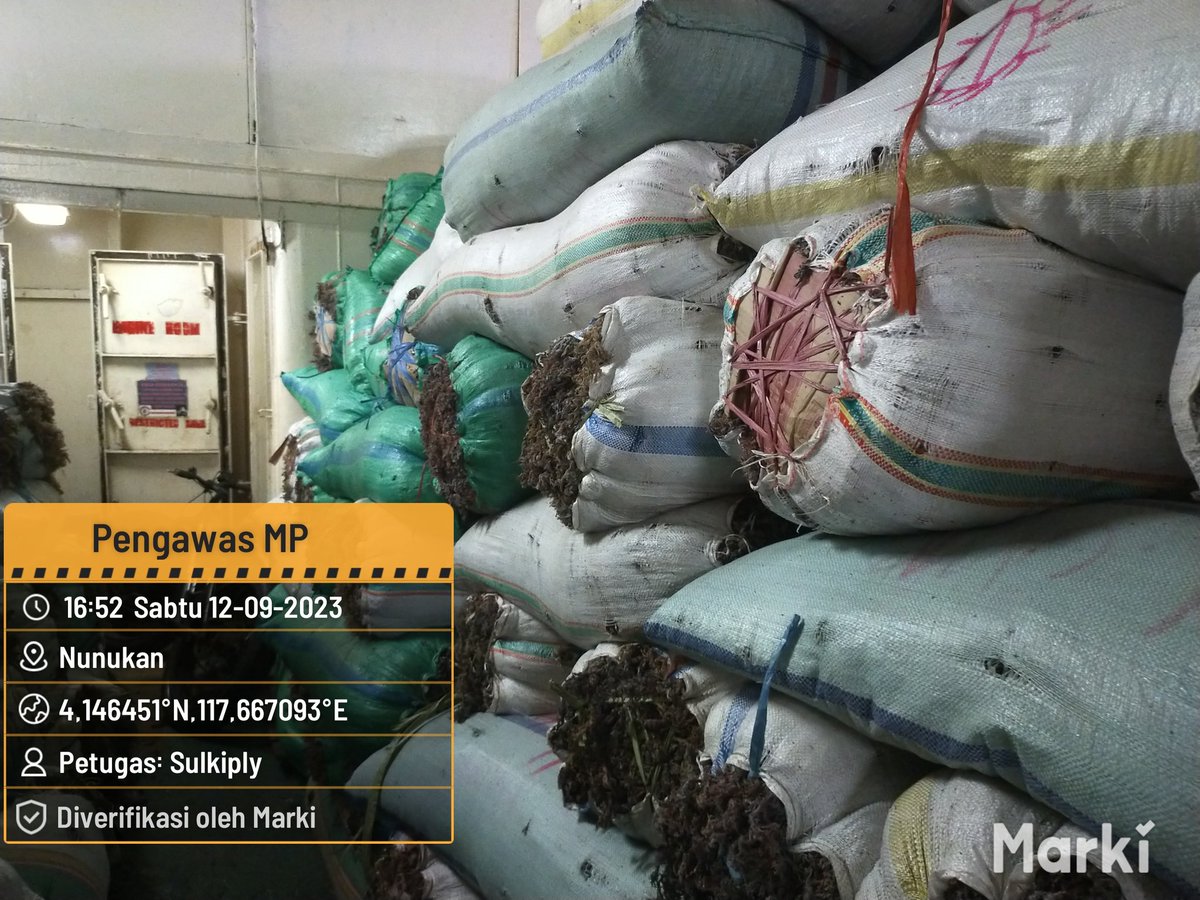 BKIPMNunukan's tweet photo. 09/12/2023
#SalamBahari
Laporan Giat Wilker Nunukan,
Pengawasan kedatangan dan keberangkatan pemuatan MP Rumput Laut Kering sebanyak 198.780 Kg/2.360 Koli tujuan Pare2 Via KM. Queen soya
@bkipm_kkp
@BKIPMTarakan
#KKPThrive https://t.co/2BQynFWNc0