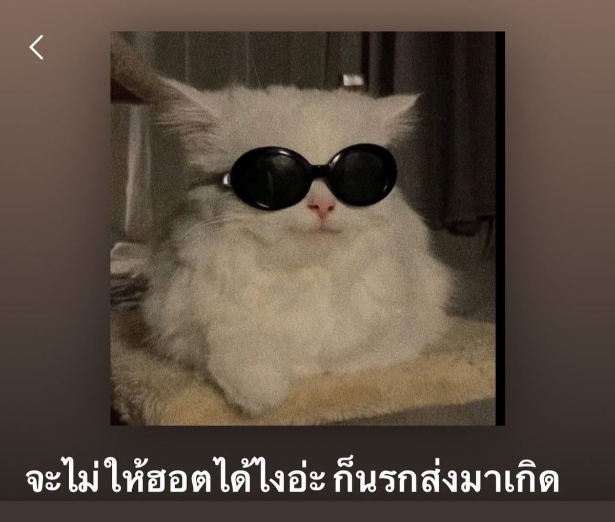 อันนี้ได้ 5555555555555555555555555555555