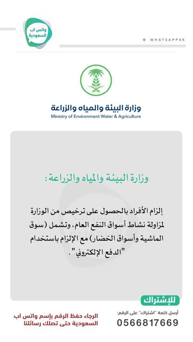 saudi tweet media