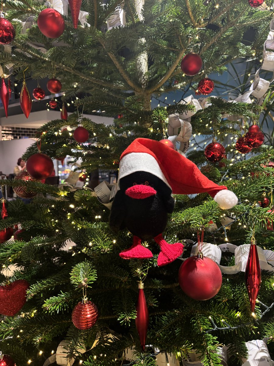 Our new mascot and newest addition to Team NQY, the Cornish Chough, has landed just in time for Christmas 🤗 This Cornish Chough lost their passport in transit so we don’t know their name. Comment below name suggestions for our new mascot👇 @cornishchoughs #FlyNQY #TeamNQY