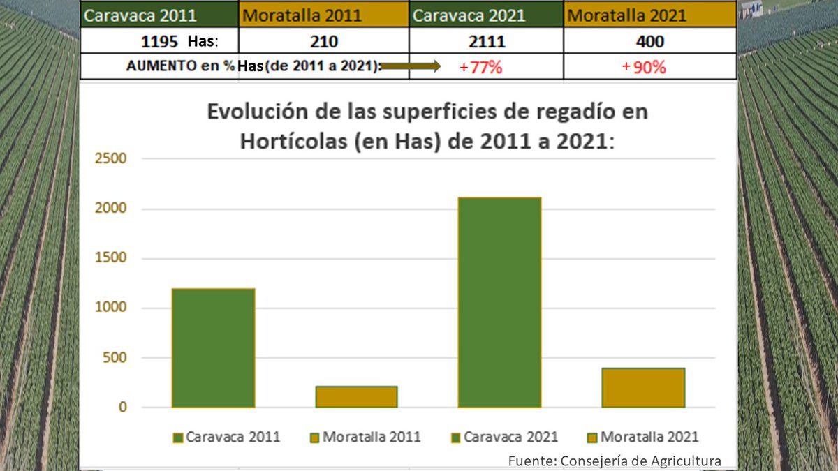 Las superficies de Horticolas en Caravaca aumentan casi un 80% en 10 años! 🧐Podeis ver que las superficies en Caravaca superan en más de 5 veces a las de Horticolas de Moratalla. #stopagriculturaintensiva #stoppurines