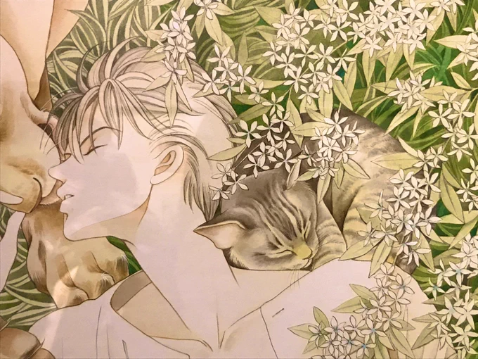 お友達に誘ってもらって、清水玲子先生の原画展観てきました!美しすぎるカラー原画がたくさん観られて最高でした…! 印刷されたものも美しいけれど、原画はその数万倍美しかったです。国宝級でした。下絵や鉛筆原稿も観られてうれしい! ウットリ夢心地の展示でした…(*'꒳`*)