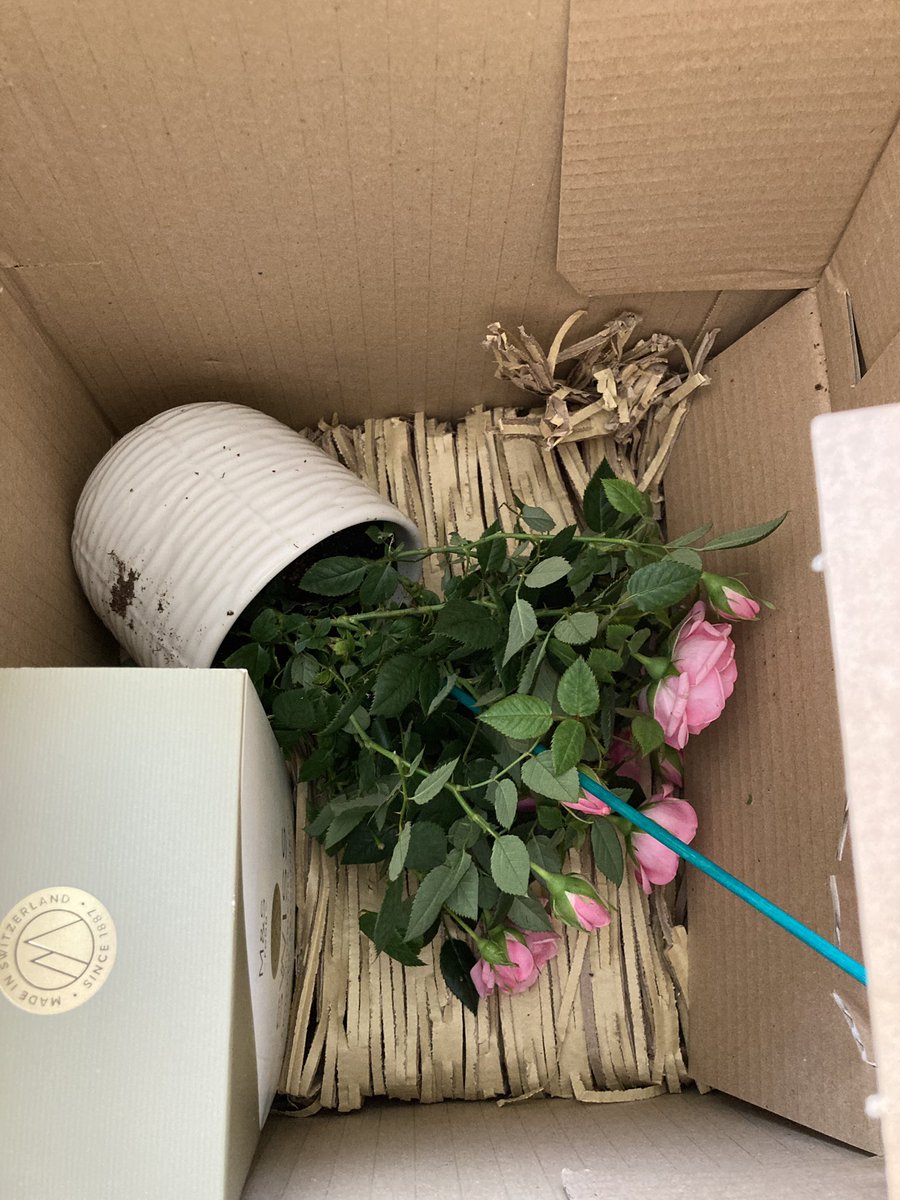 mickevbaker's tweet photo. @marksandspencer @YodelOnline spot the difference in today’s replacement 😔 at least the chocolates are edible today. I have used your flower shop for years and at this same time period, however this is extremely disappointing https://t.co/D0H7vRp4rG