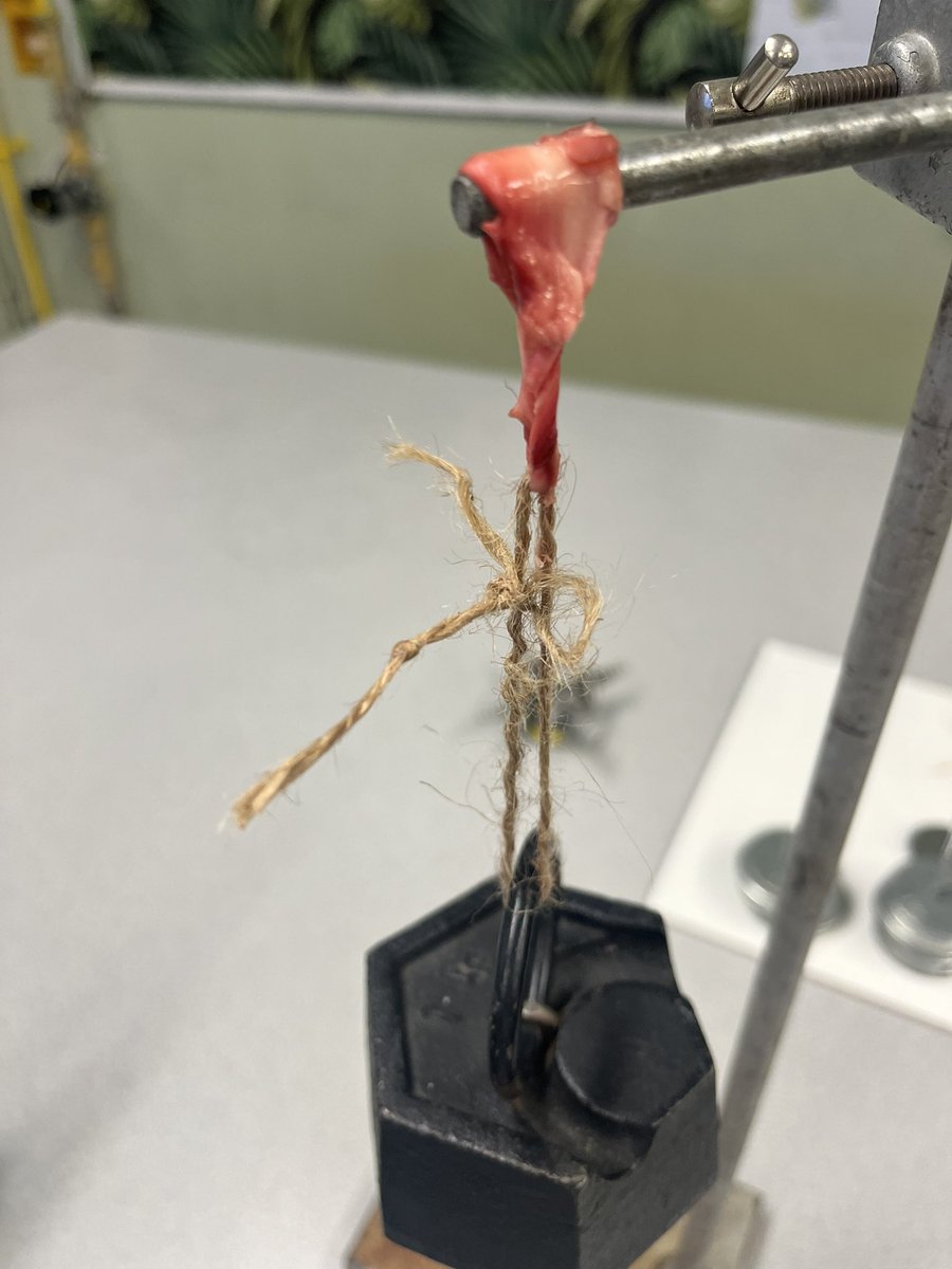 Miss F 🌻 tweet media