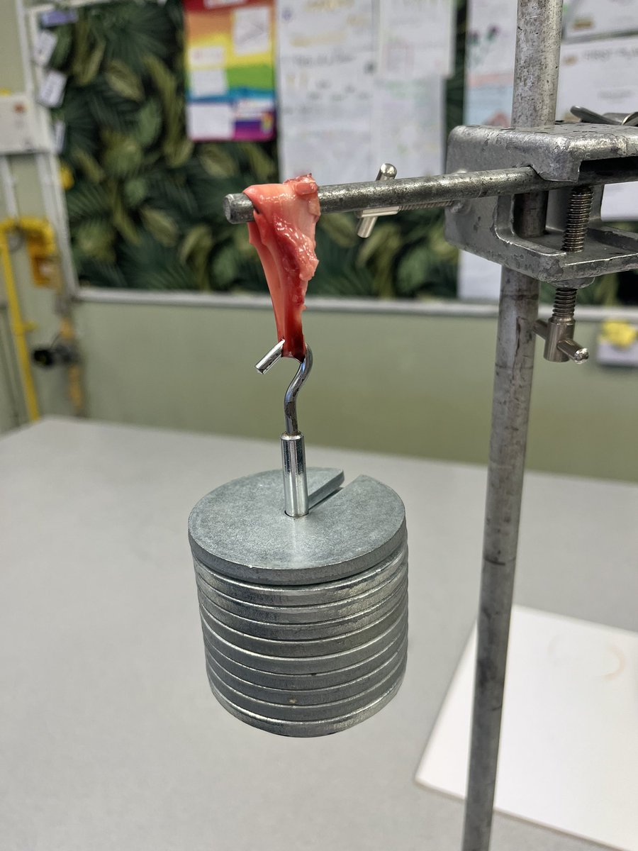 Miss F 🌻 tweet media